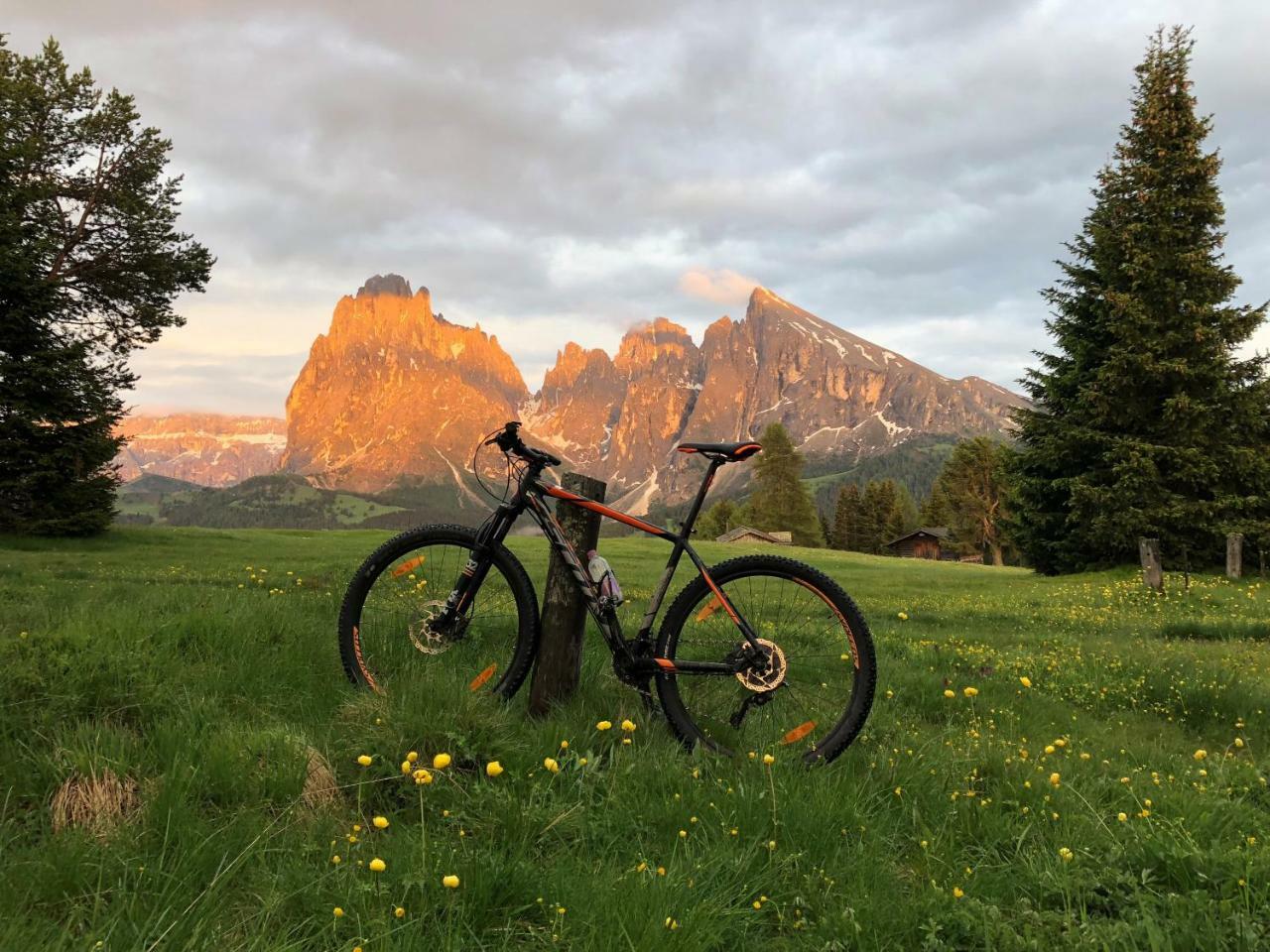 Saltria - Your Alpine Experience Alpe Di Siusi Eksteriør bilde
